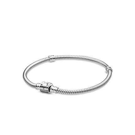 Pandora Style Snake Bone Chain Bracelet