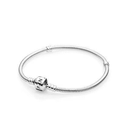 Pandora Style Snake Bone Chain Bracelet
